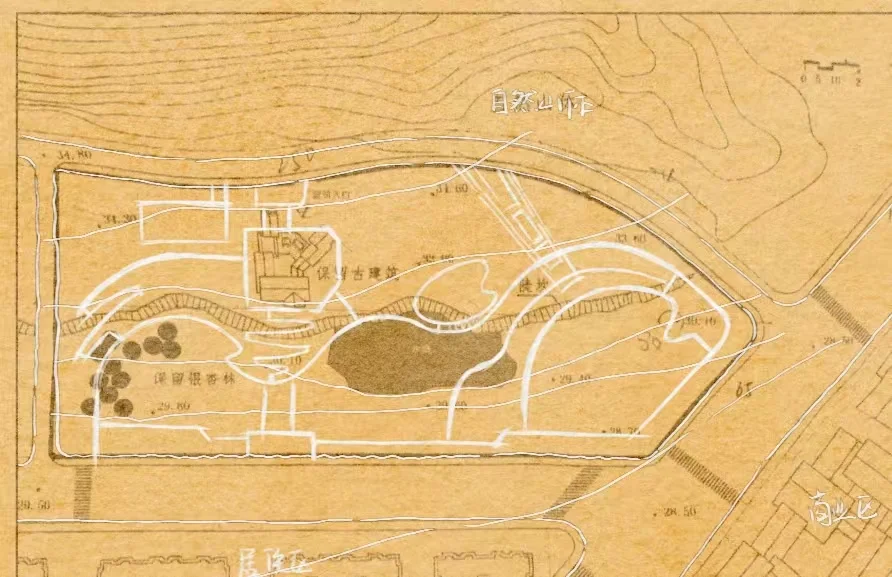 南京林业大学2020年初试真题