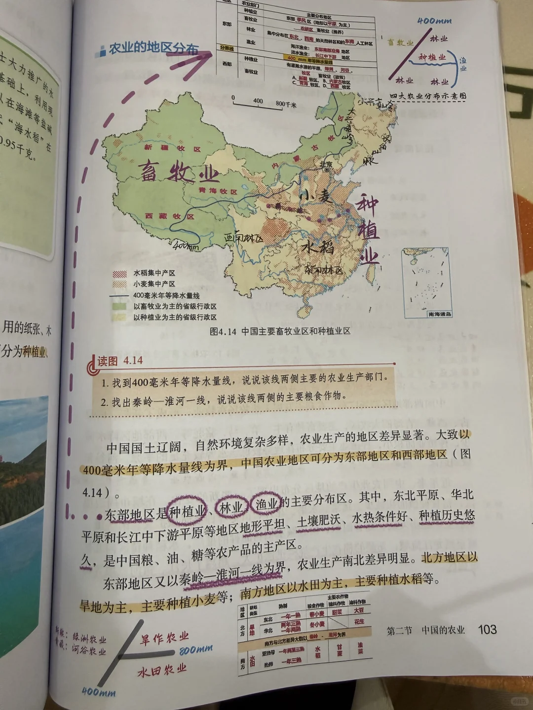 第二节 中国的农业