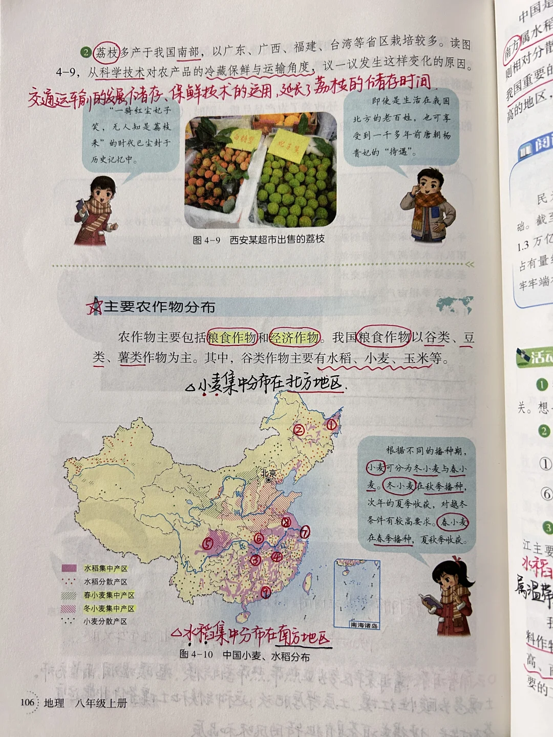 新湘教版 中国的农业🌾🌳🐑🐟