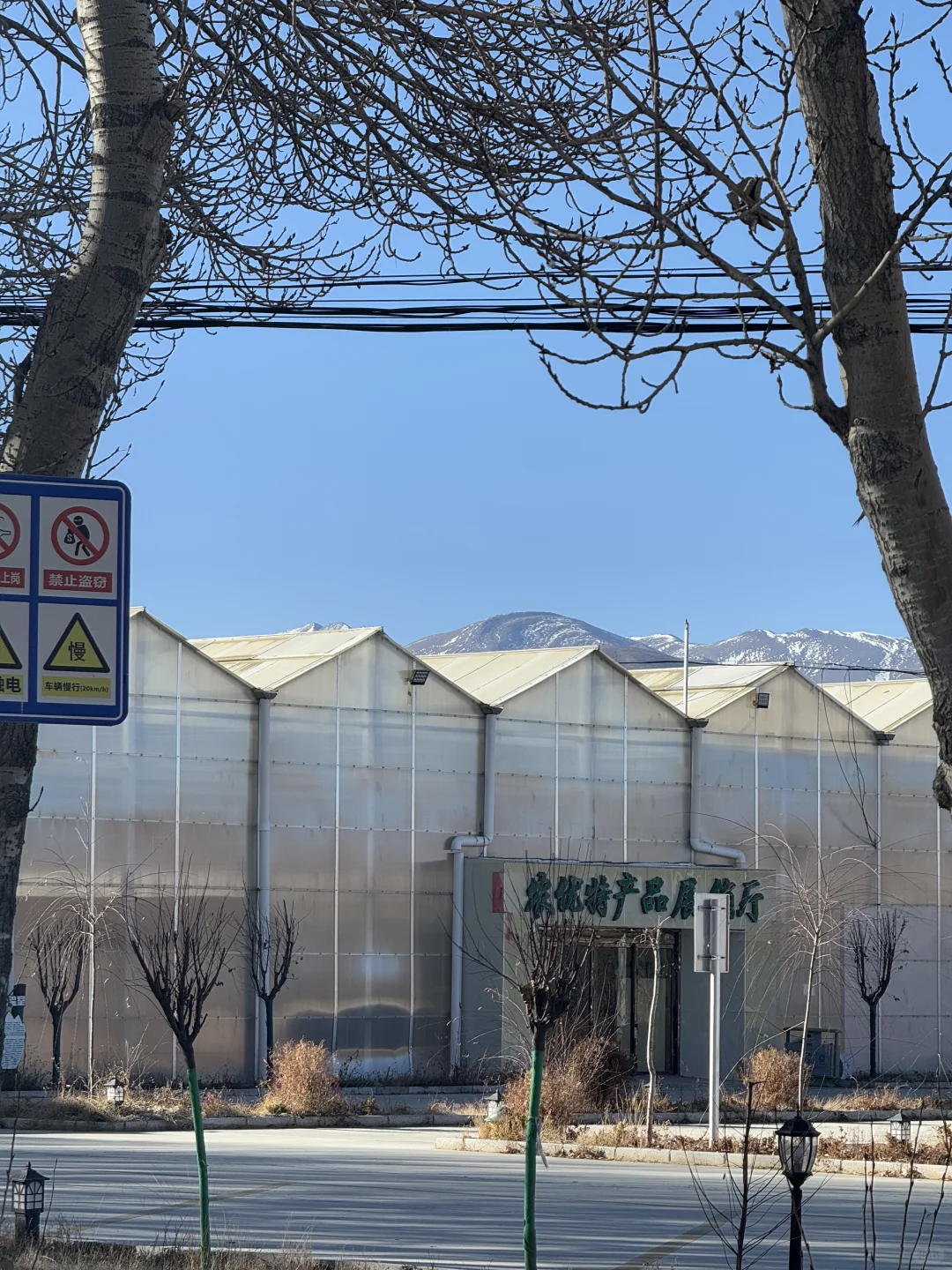 珠峰旅游达人-18，红河谷现代农业科技示范园