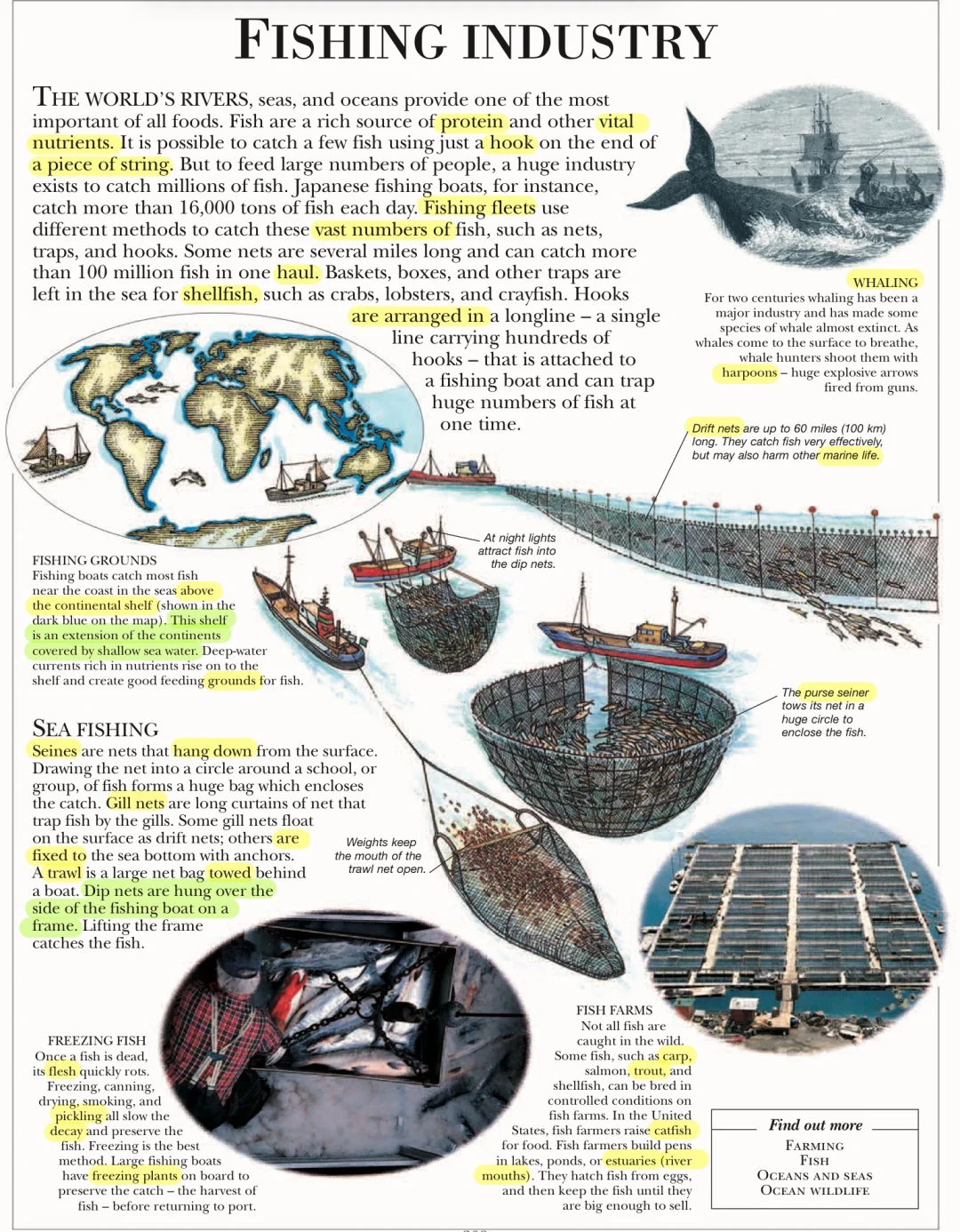 外刊阅读｜📖百科全书-渔业🕸️