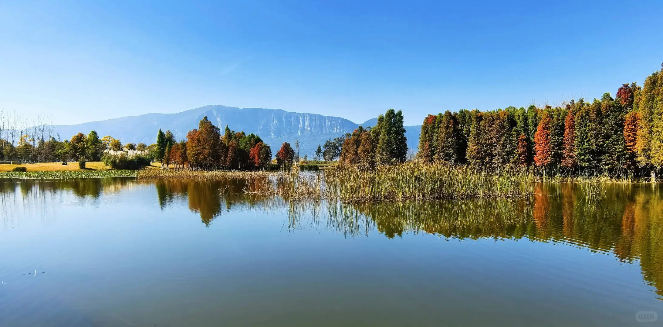 石屏县实体经济破局个人浅见，希望你能指正