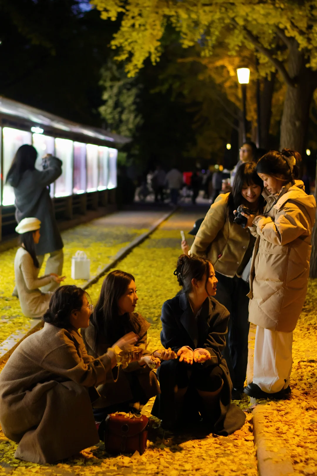 我拍到了秋景最美大学校园！北京林业大学！