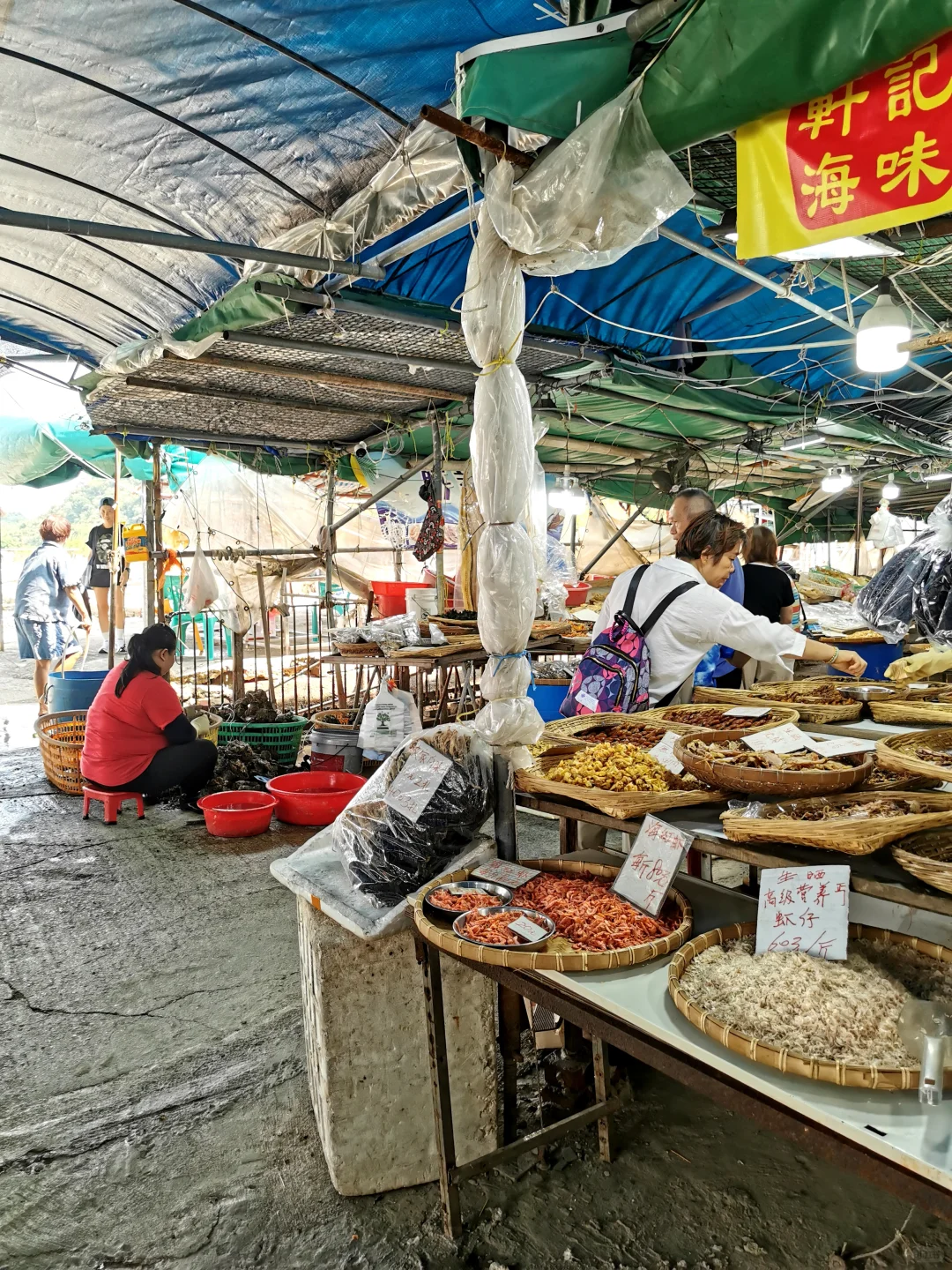 香港曾有以养蚝出名的地方现却成游客区(上)