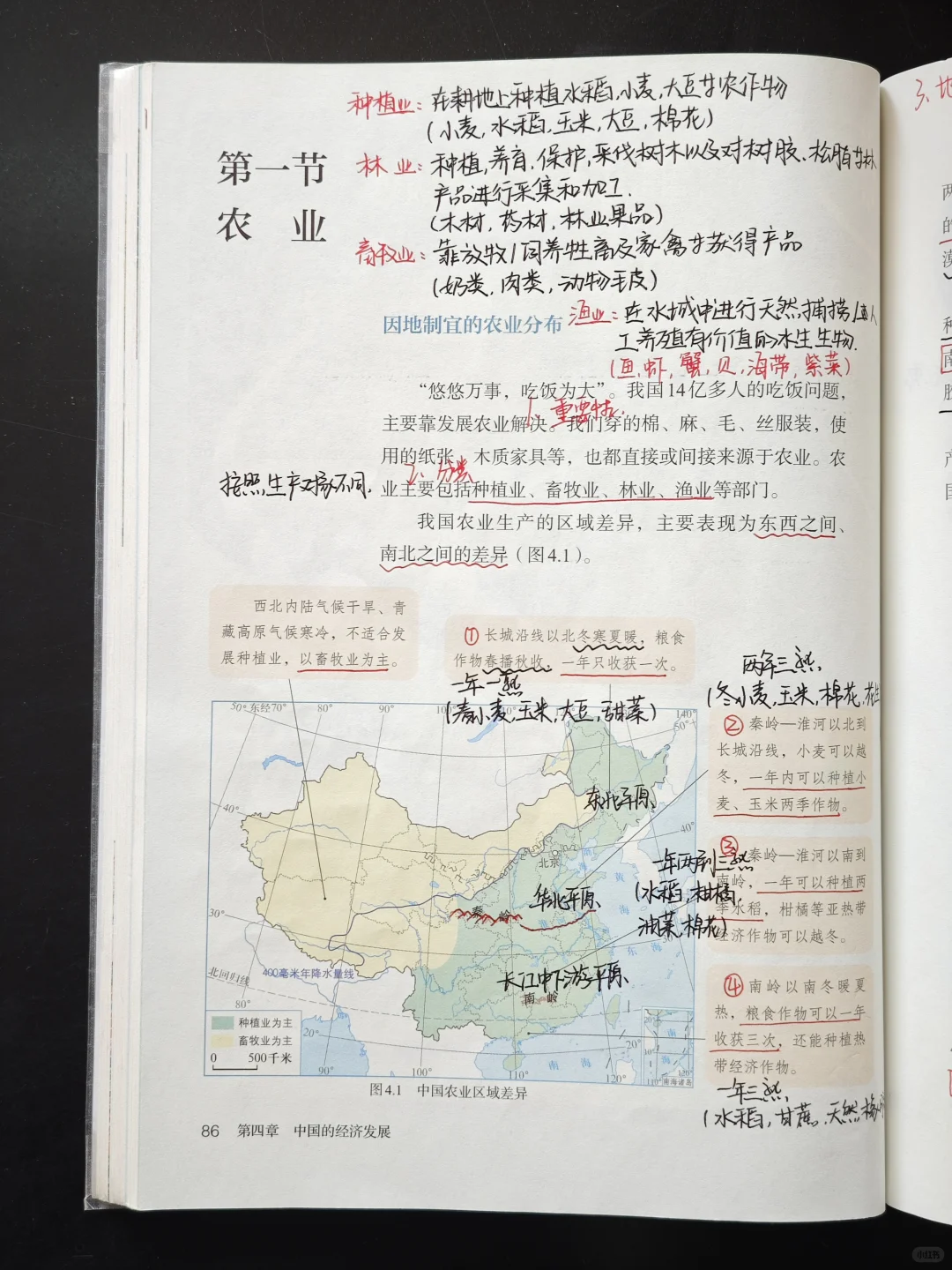 新教材八年级地理上-农业