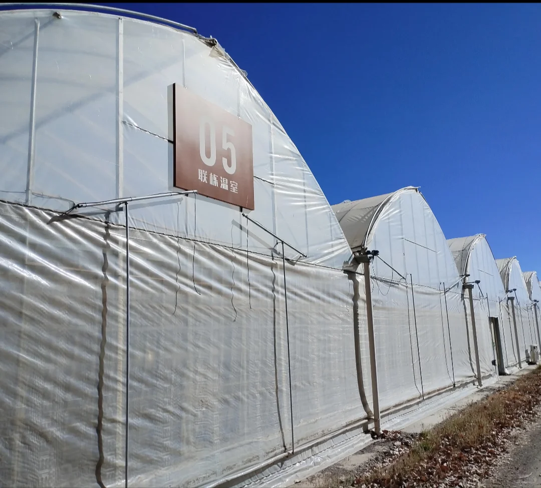 珠峰旅游达人打卡第十八站红河谷农业科技园