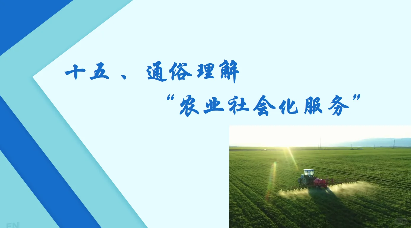 十五、通俗理解“农业社会化服务”