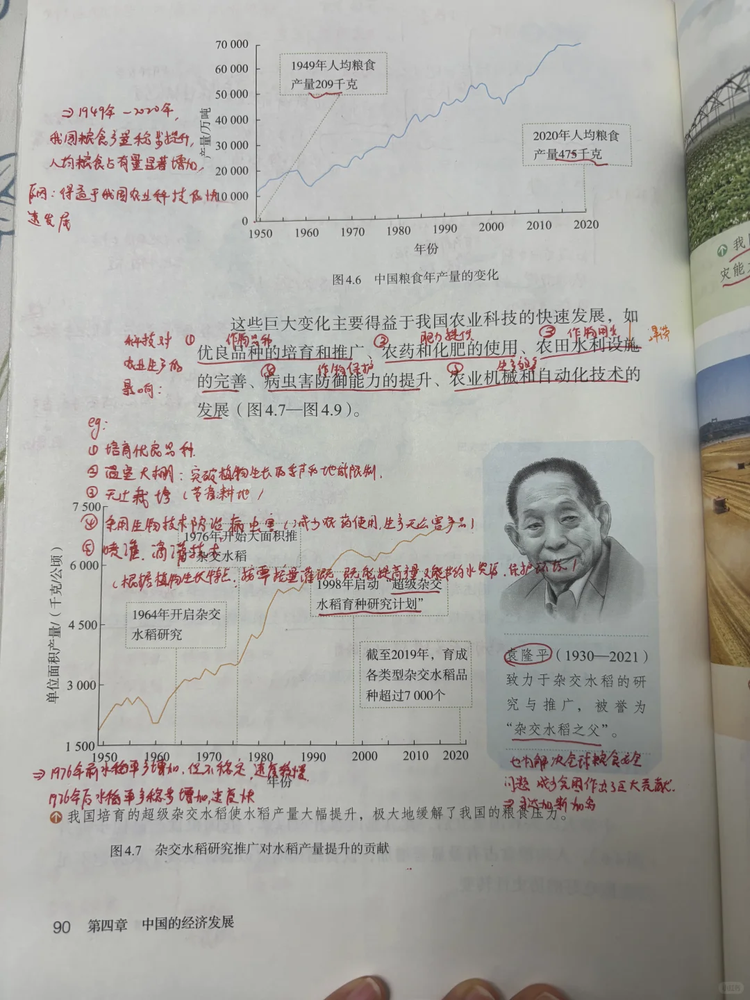 八上第四章第一节农业