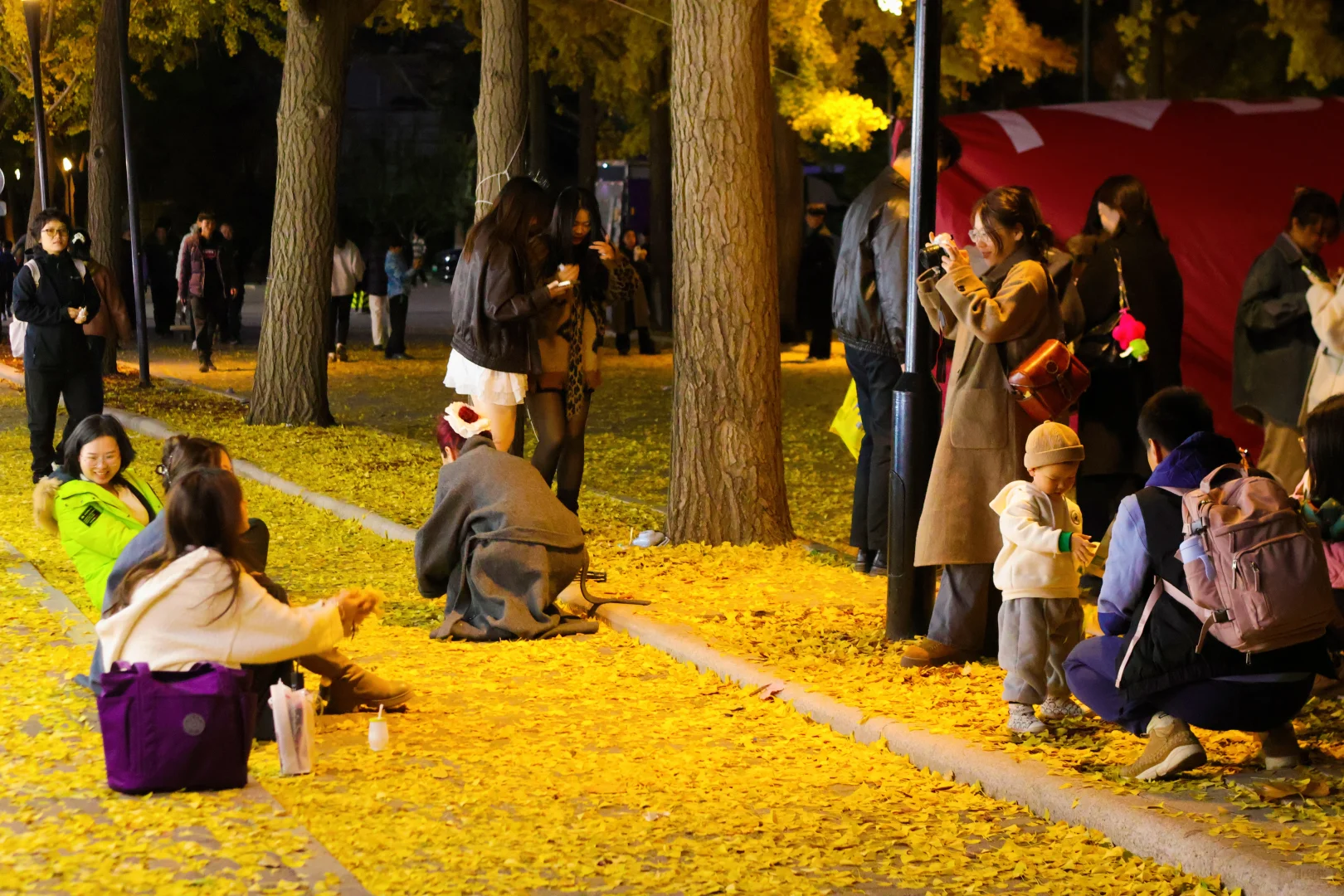 我拍到了秋景最美大学校园！北京林业大学！