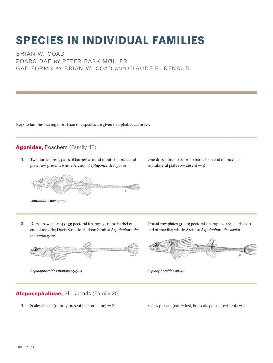 加拿大北极地区海洋鱼类图鉴