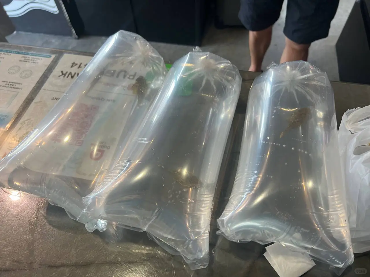 出货日常✨感谢各路老板老板娘支持✊