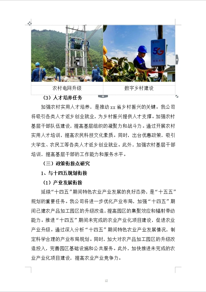 十五五加快推进农业农村现代化规划编制方案