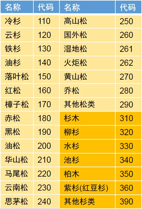 种子玩家科普～松树杉树种类大全