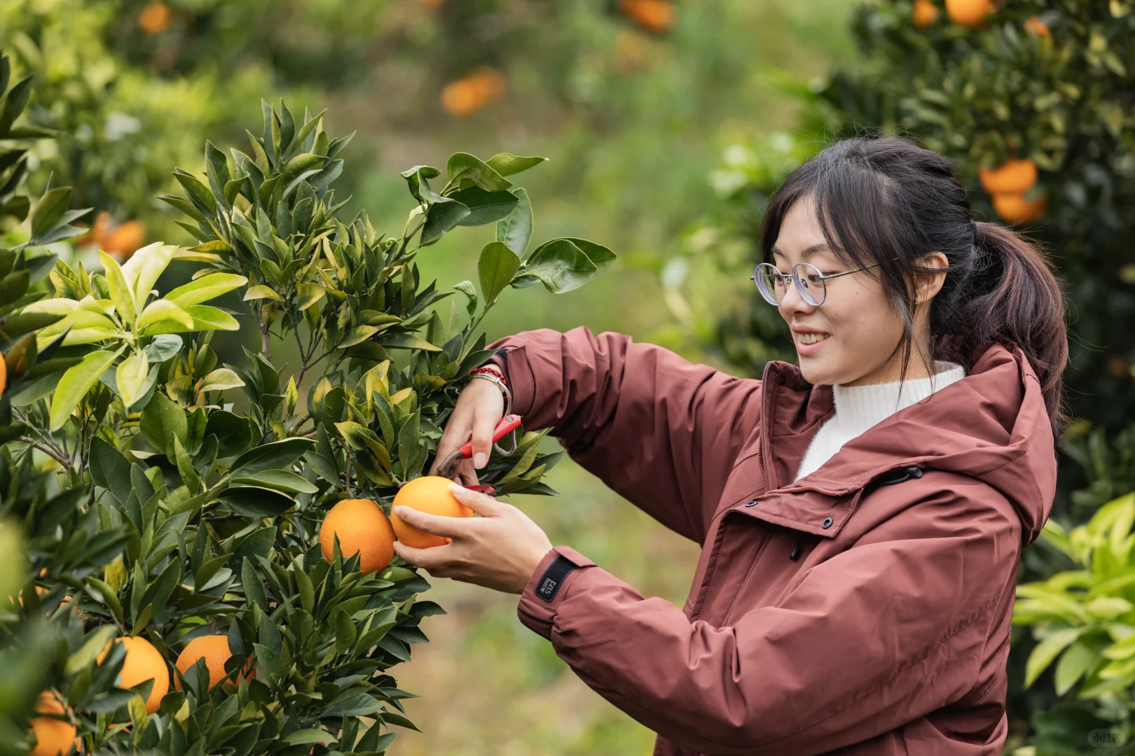 你们说新农人到底是什么