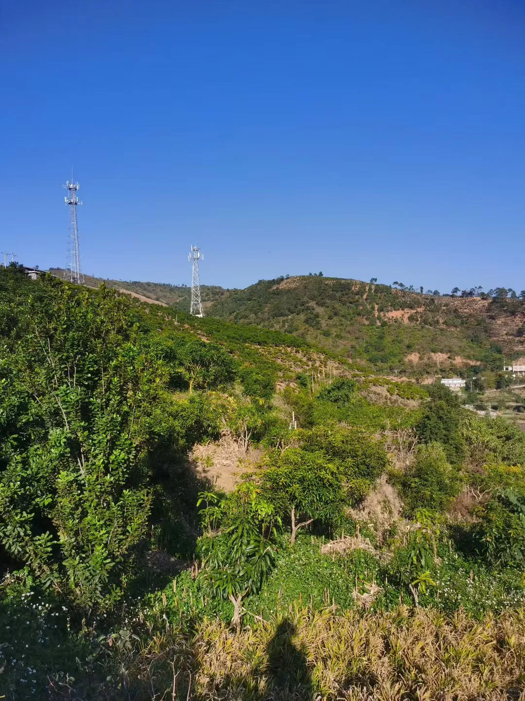 石屏县实体经济破局个人浅见，希望你能指正