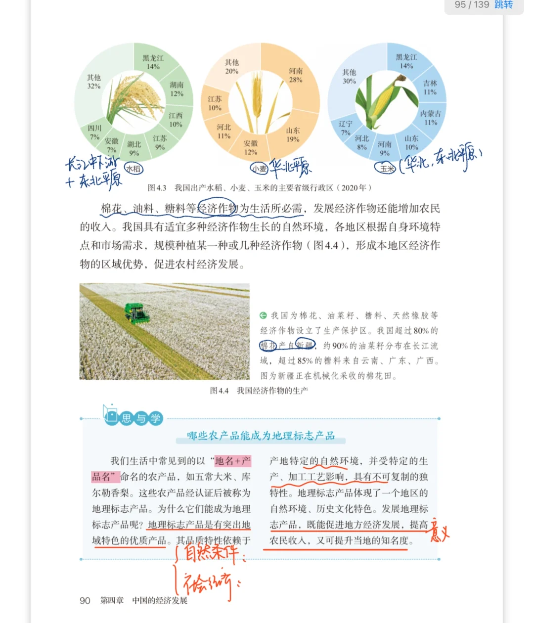 新教材人教版.八年级上册备课分享📖