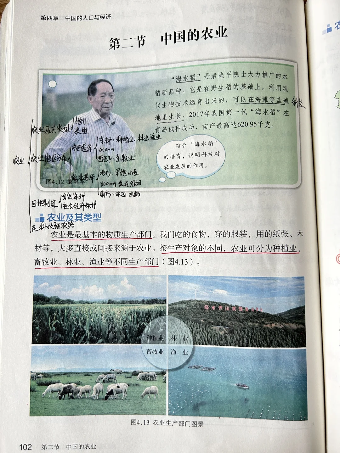 八上地理 第四章第二节《中国的农业》