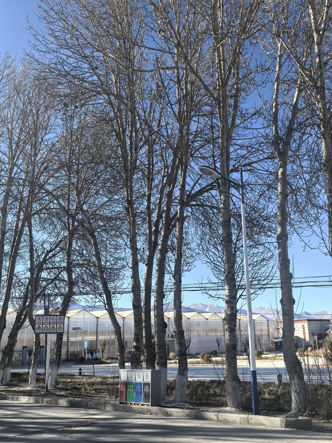 珠峰旅游达人打卡第十八站，红河谷现代农业