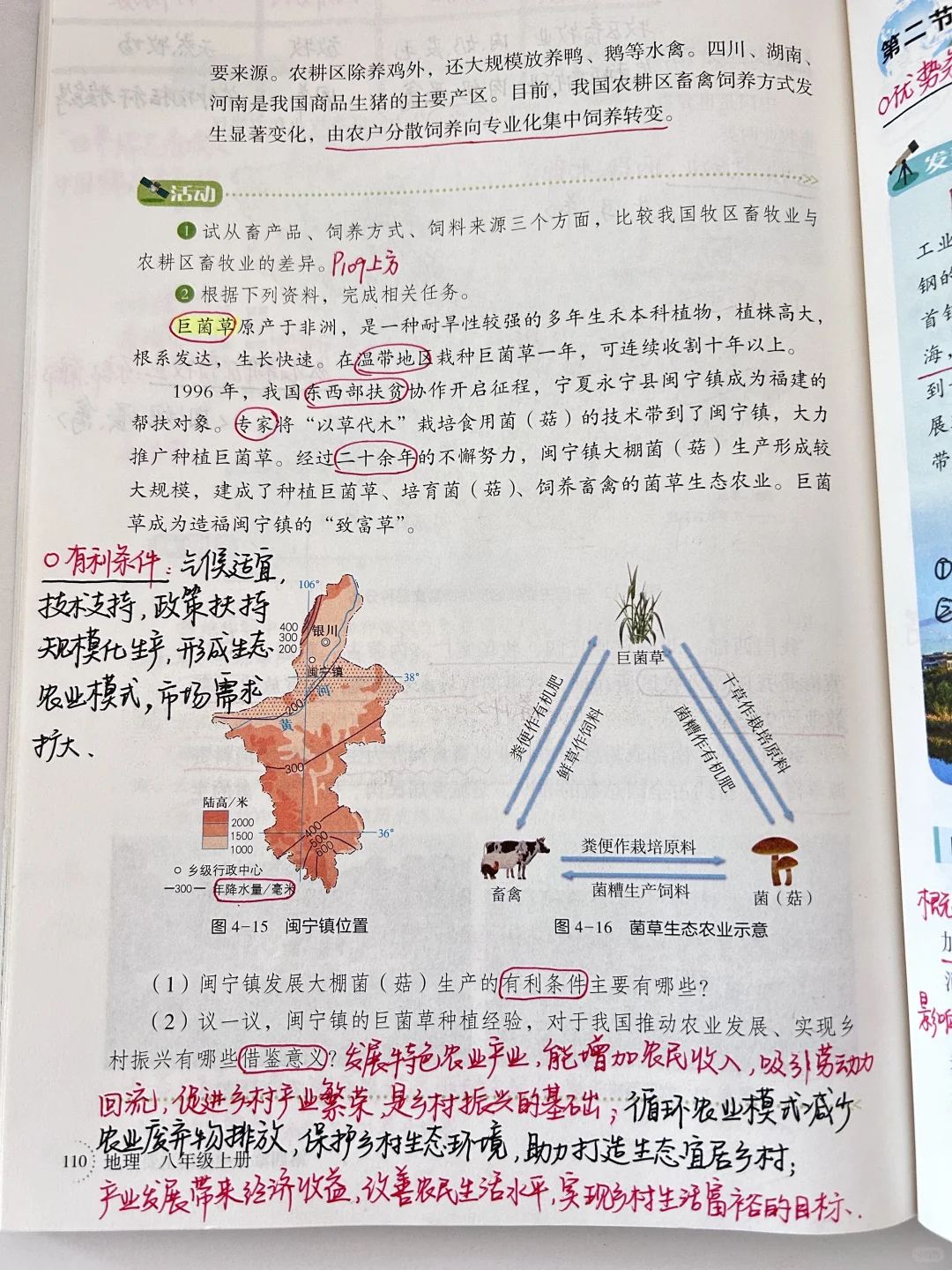 新湘教版 中国的农业🌾🌳🐑🐟