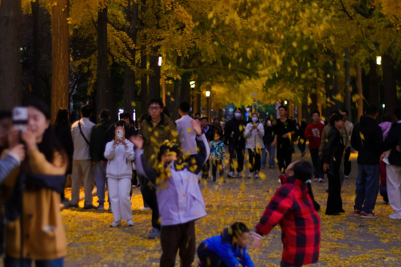 我拍到了秋景最美大学校园！北京林业大学！