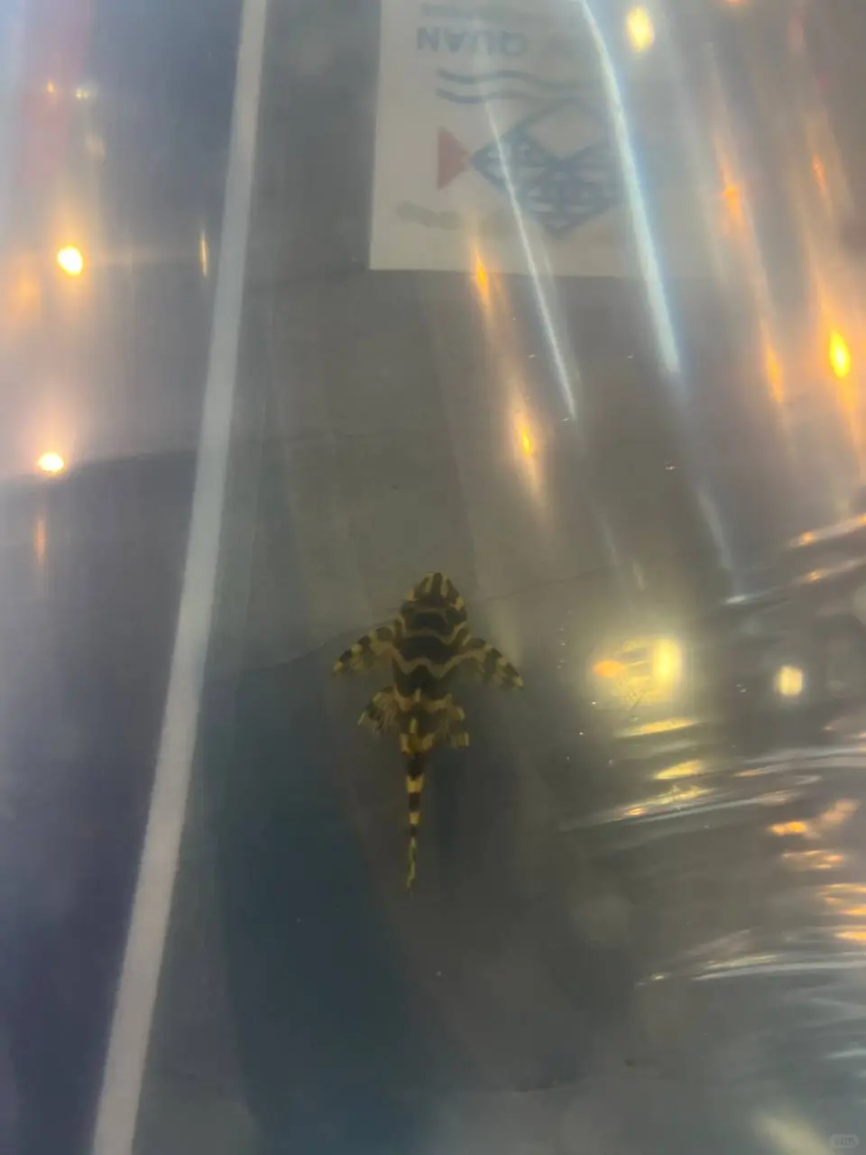 出货日常✨感谢各路老板老板娘支持✊