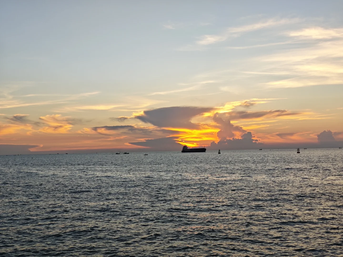 广西白蝶贝试养项目取得阶段性成功