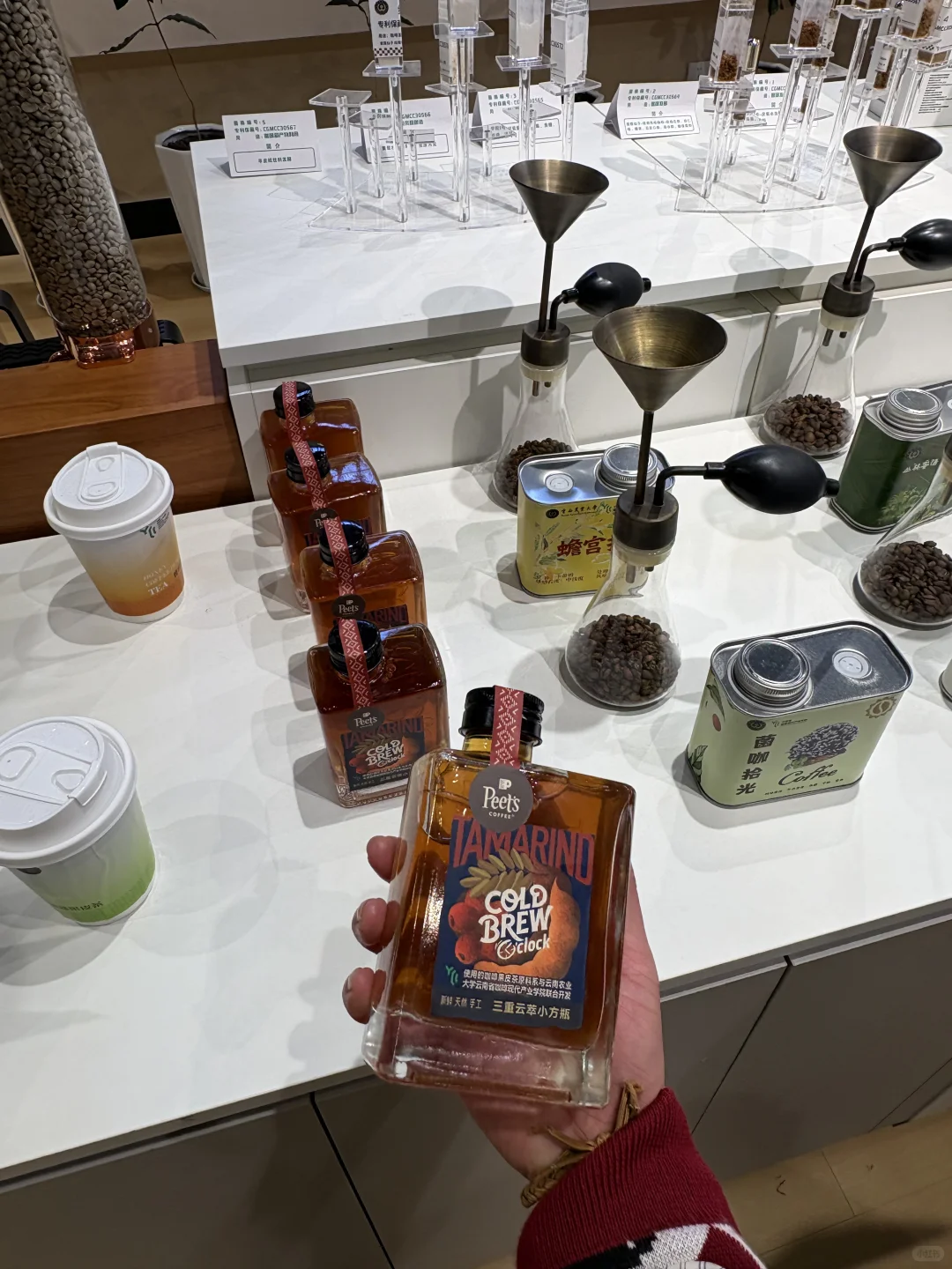 云南农业大学现代咖啡