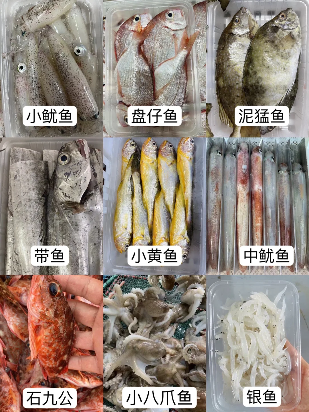 我摊牌了❗️❗️我真的是卖海鲜的❗️❗️❗️