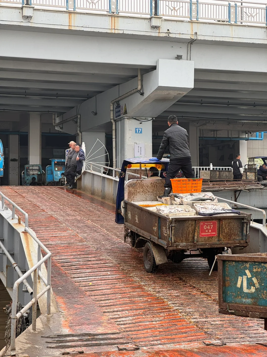 真的是断子绝孙网！