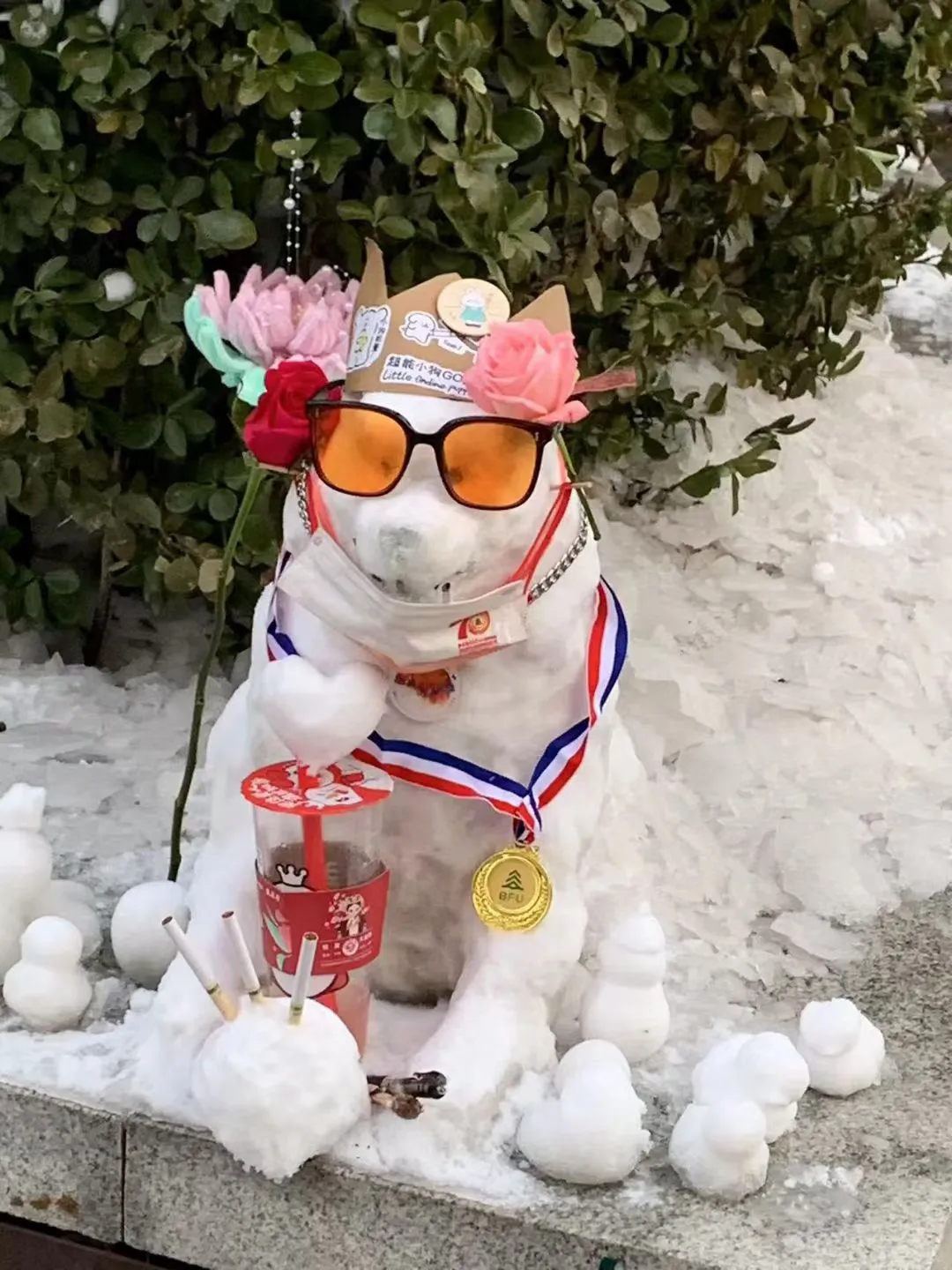 回顾 23 年北林的狗神进化史