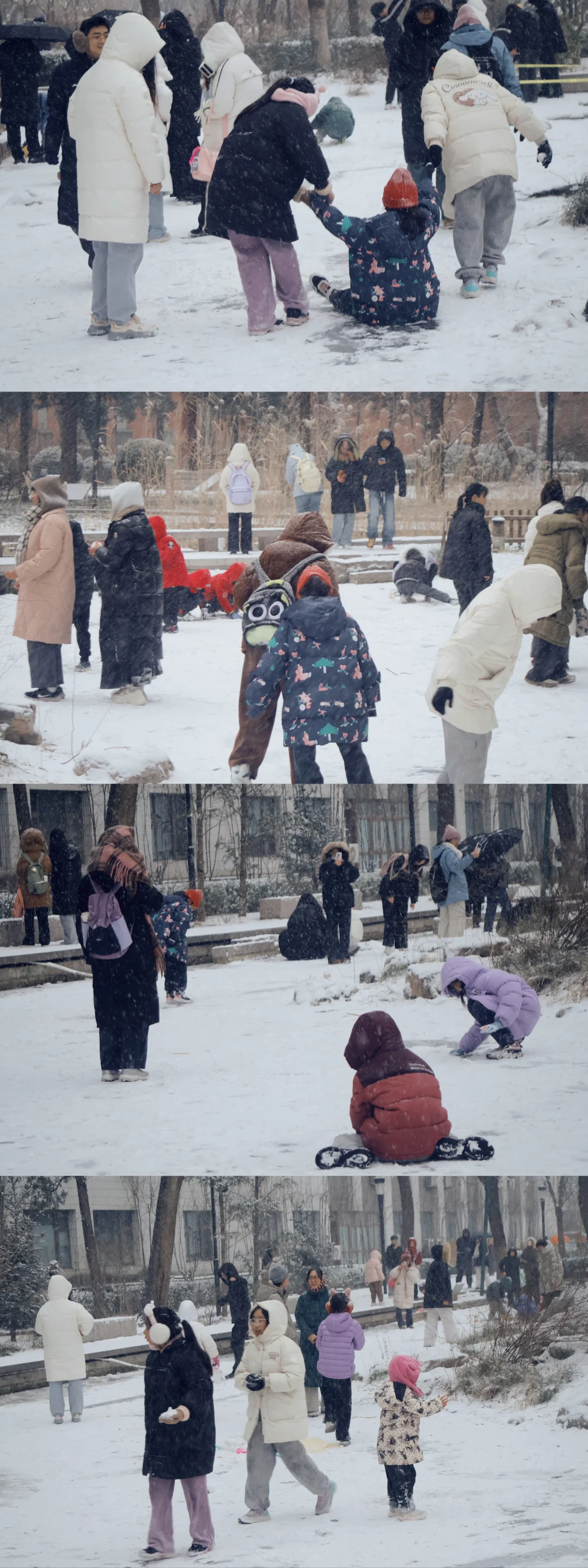 北京初雪|雪中的北京林业大学