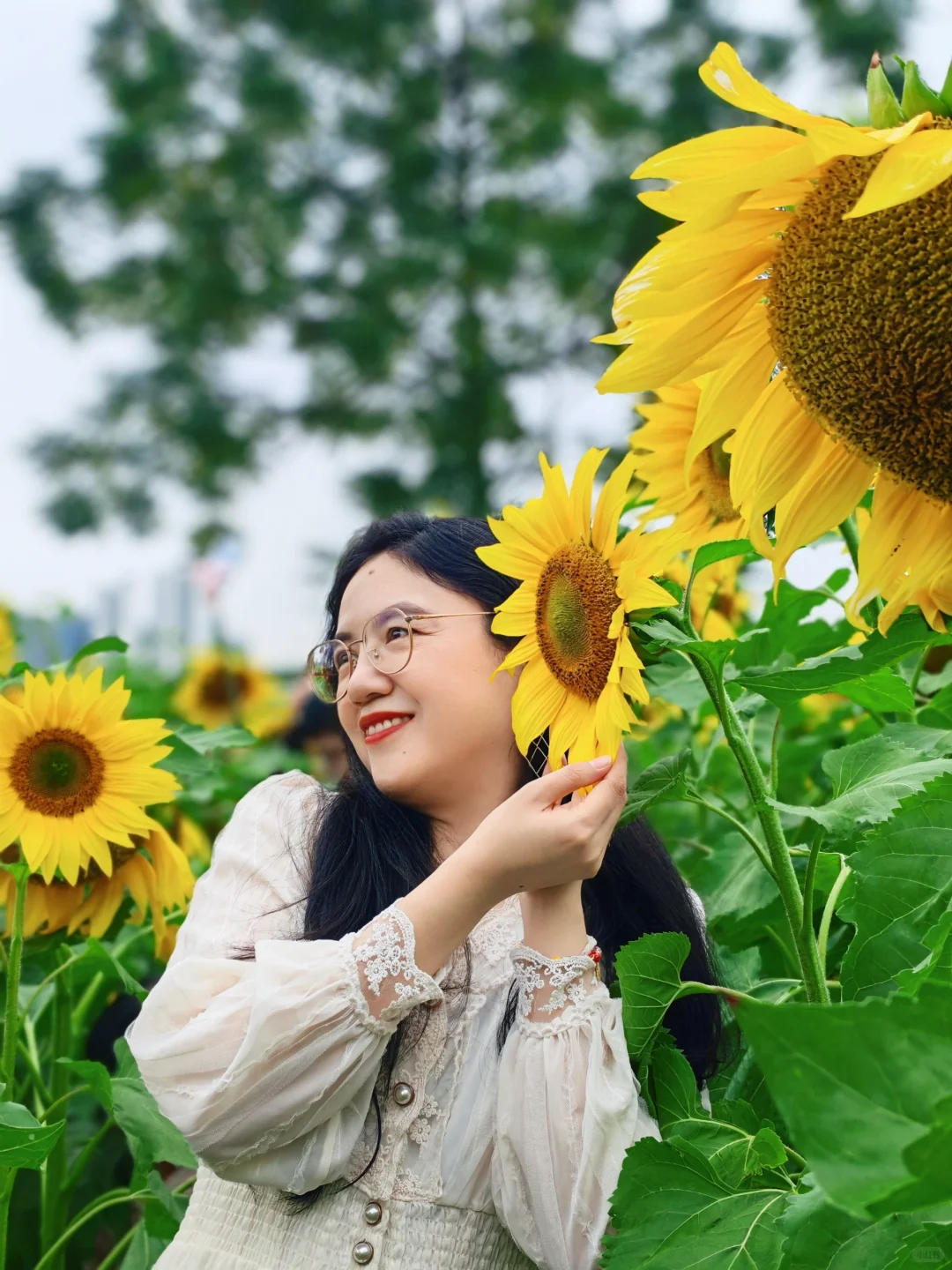 📍长岭现代农业公园|向阳而生🌻