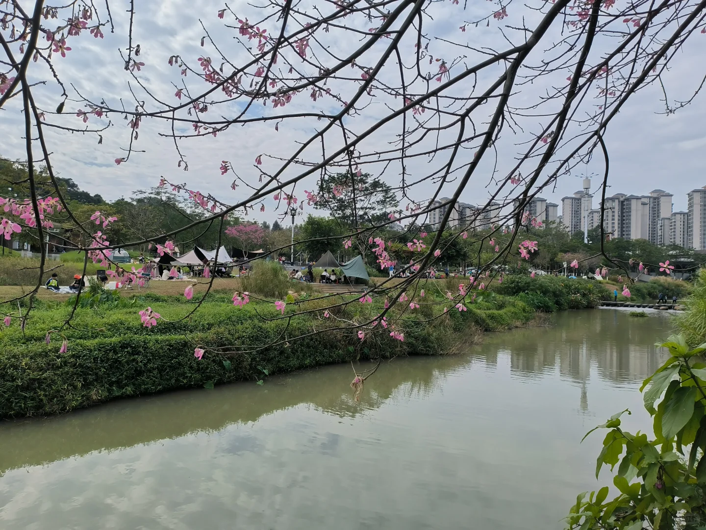 长岭农业公园｜天幕野餐｜钓鱼烧烤｜遛娃
