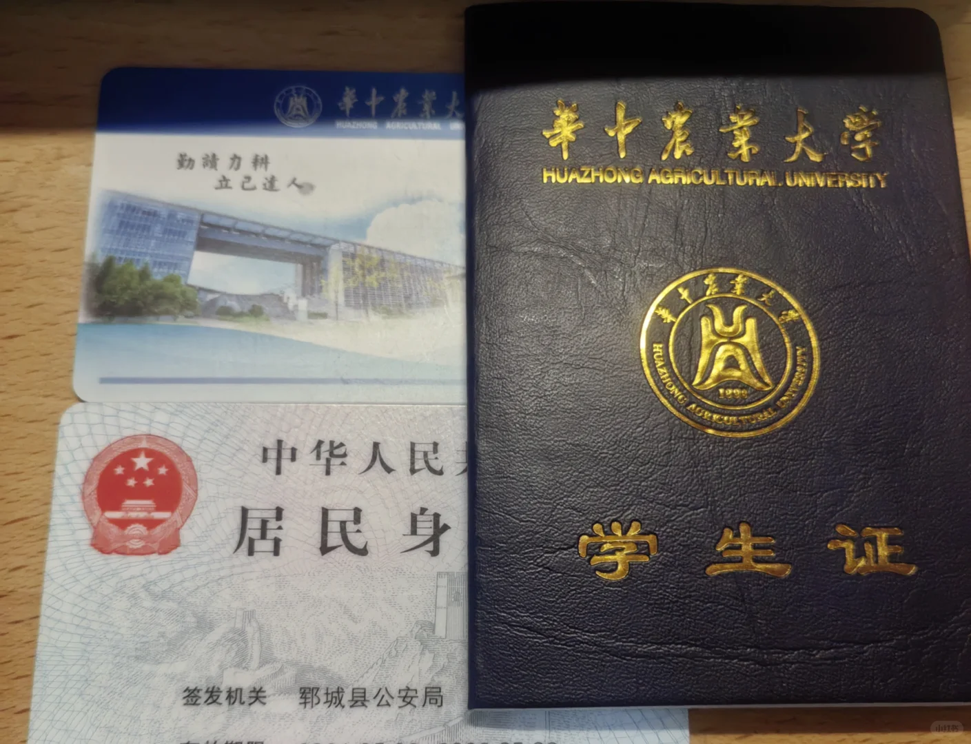 华中农业大学线下访谈