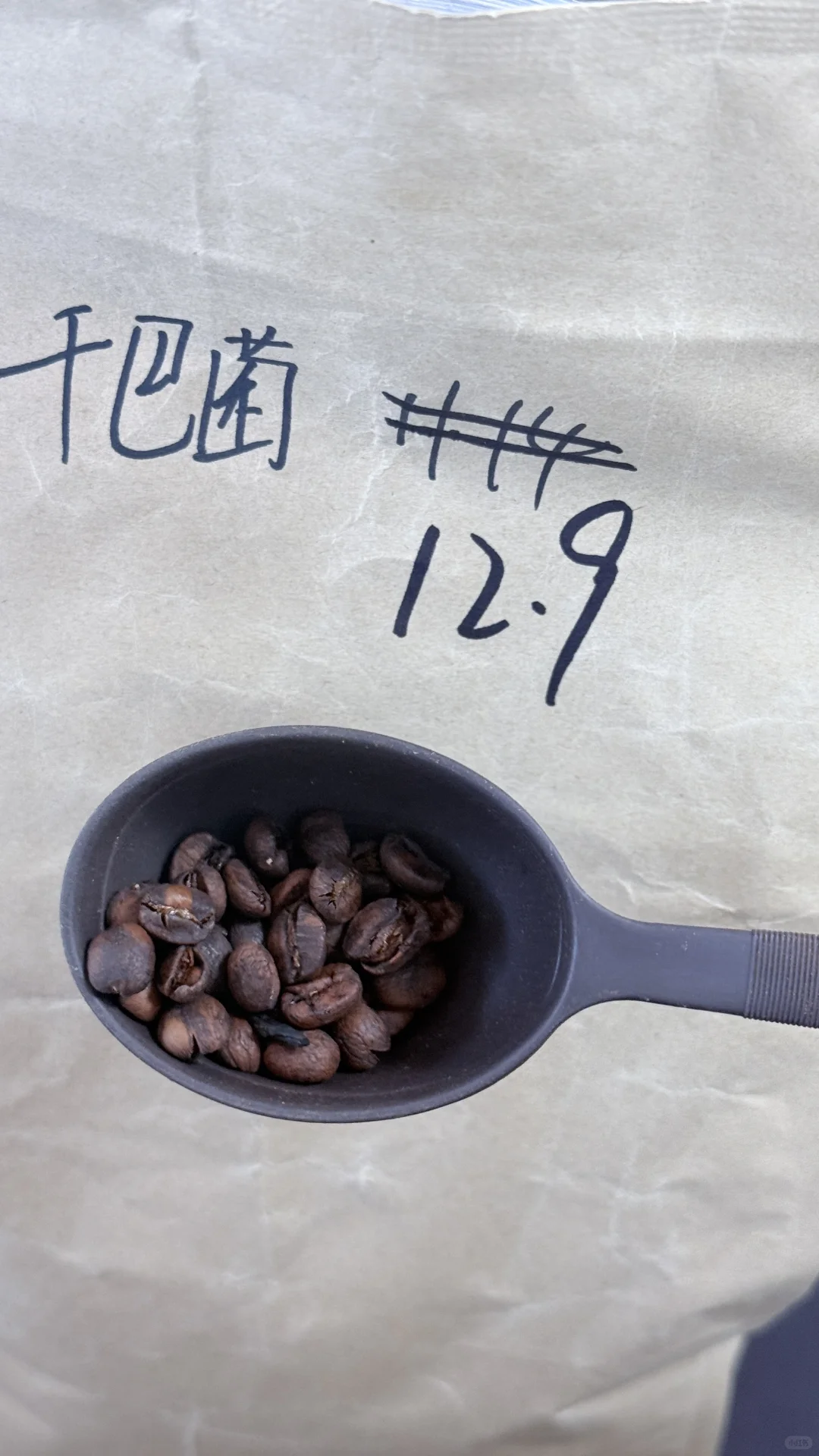 云南农业大学现代咖啡