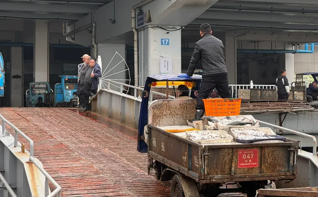 真的是断子绝孙网！