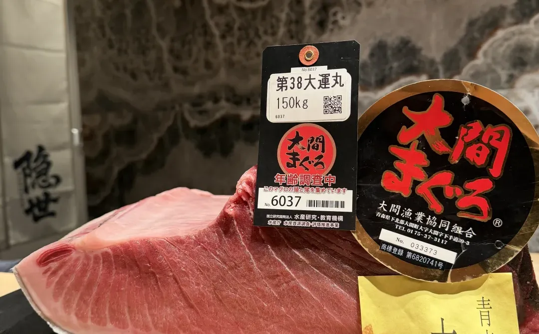 北京｜隐世 纯野生金枪鱼