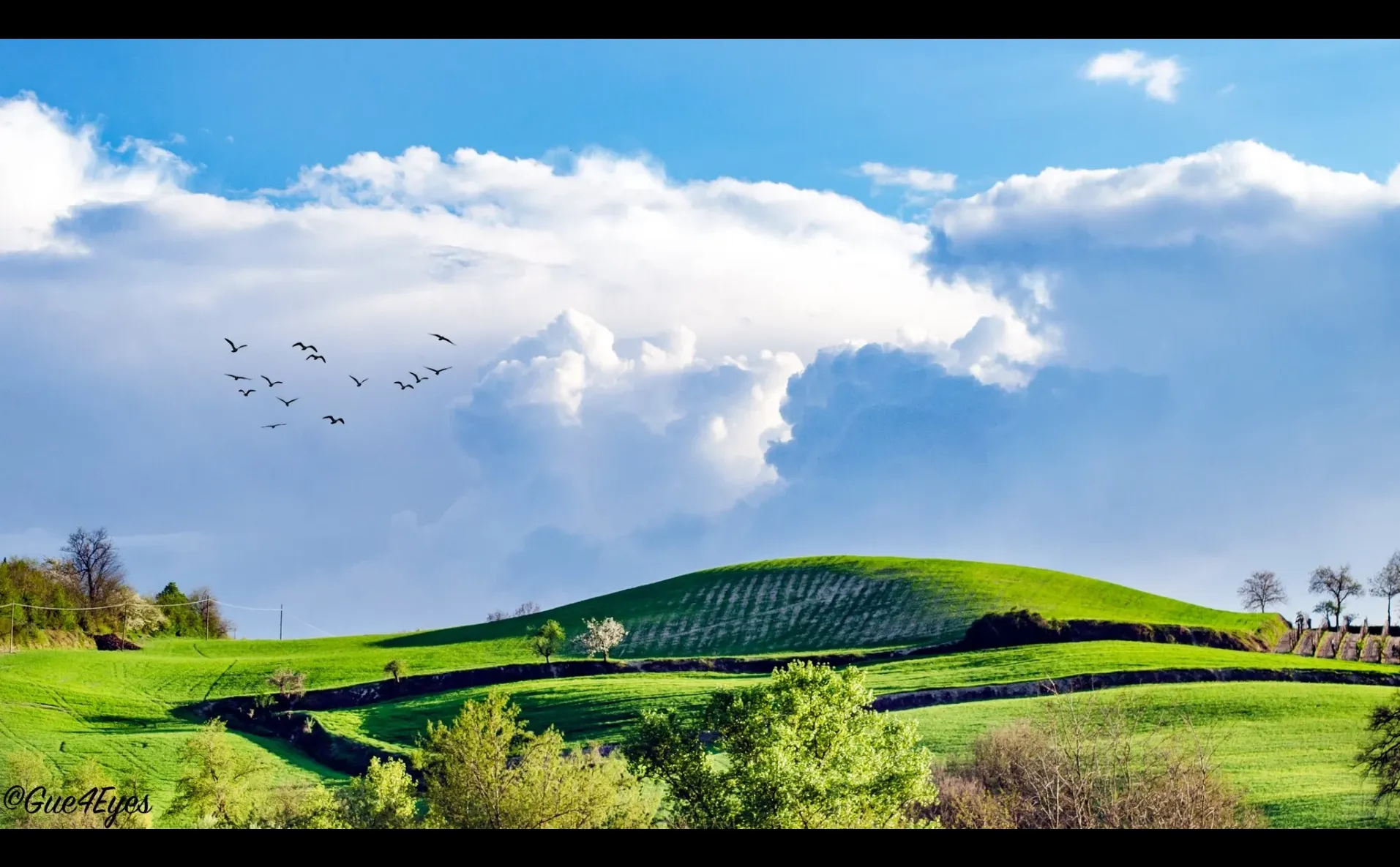 欧洲“干净农业”神话破灭？餐桌谁做主？
