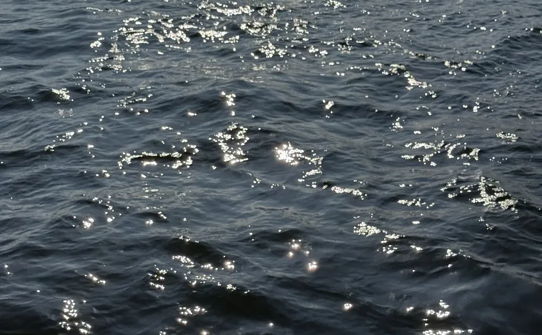 包渔船出海也太爽了吧！还捕到了我的“大鱼”