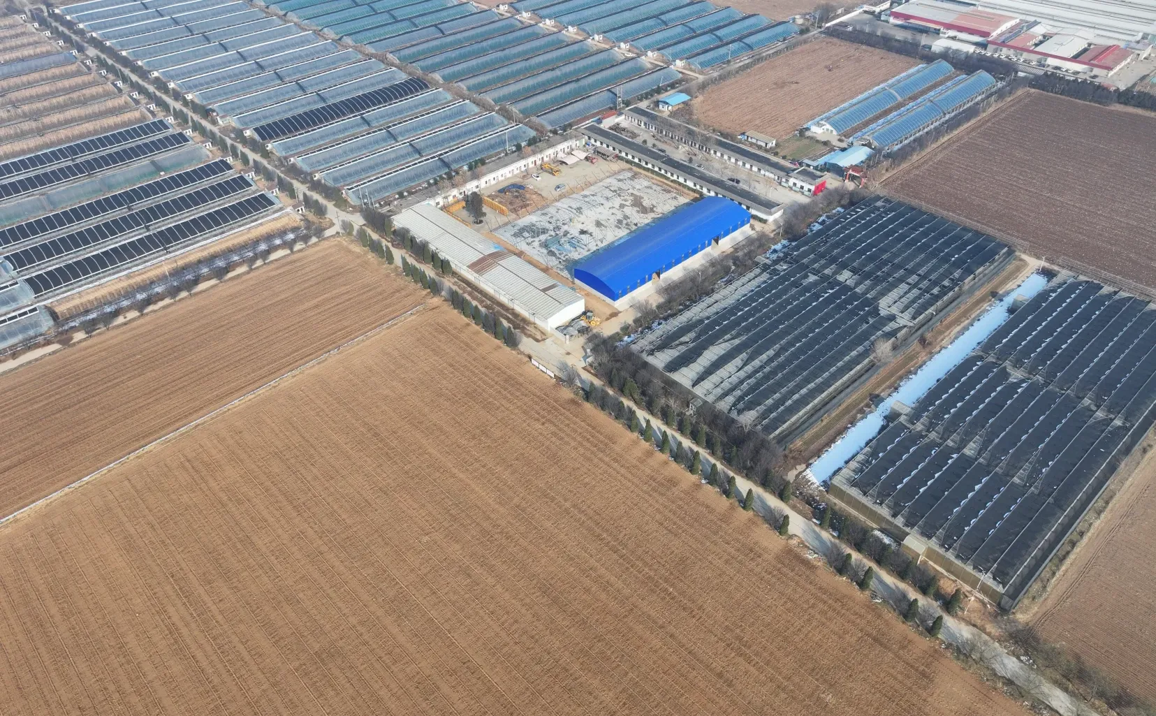 航拍视角•稷王现代农业示范园冬日美景如画