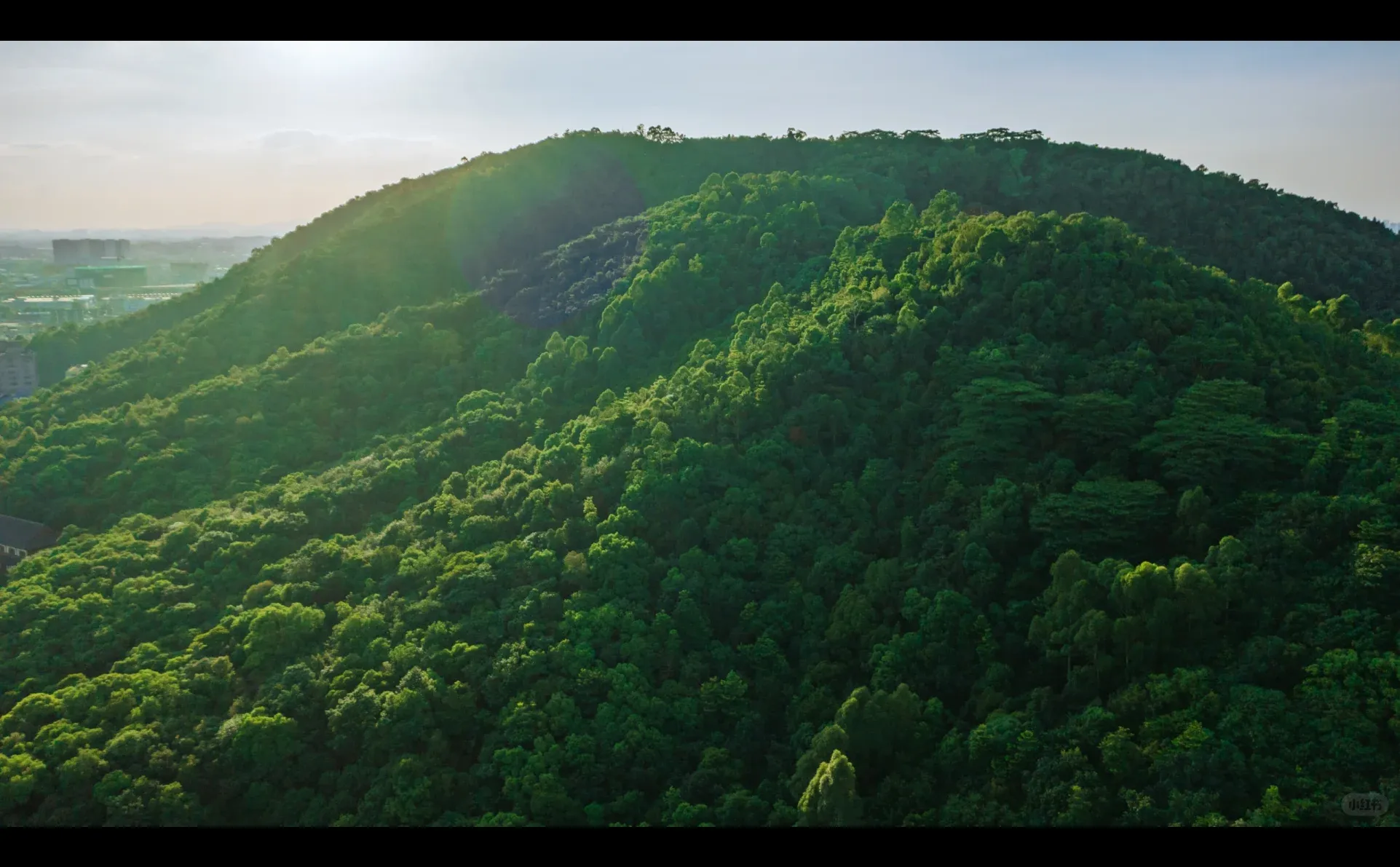 【记录100种职业】第一期：护林员