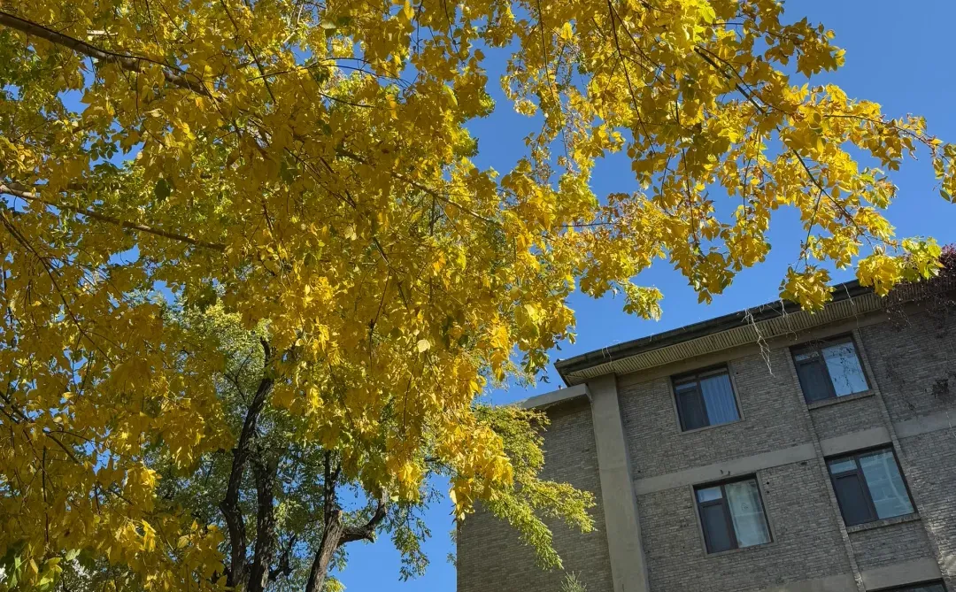 你一定能上北林！