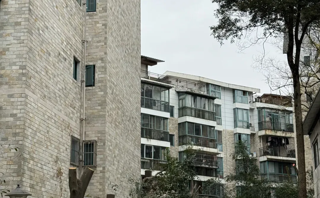 被截肢的树木🌳