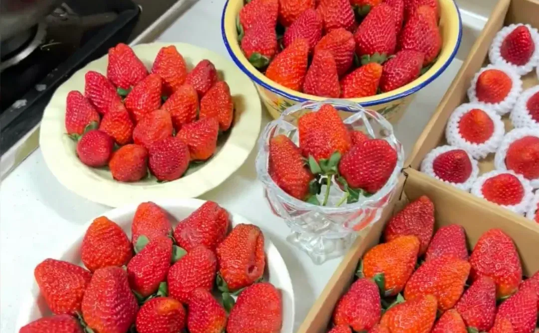 又到草莓季啦🍓大凉山露天冬草莓即将上线