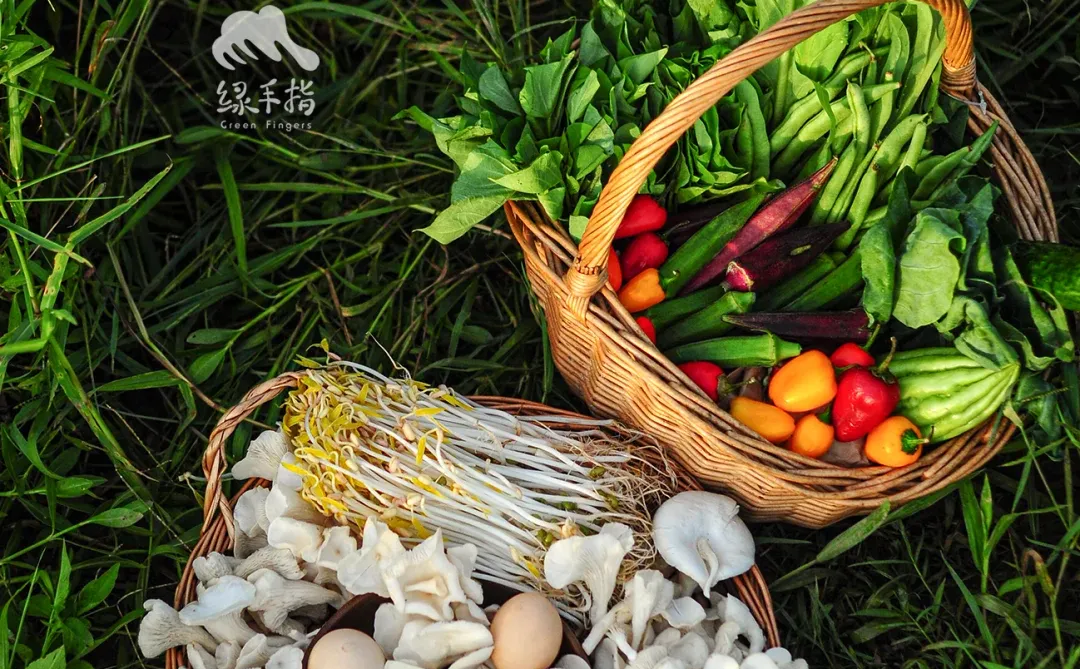 绿手指友好集市开业❗️有机好货速囤❗️