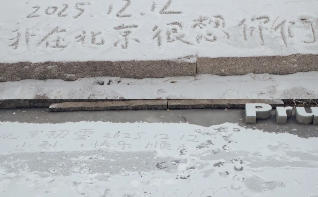 北京初雪|雪中的北京林业大学