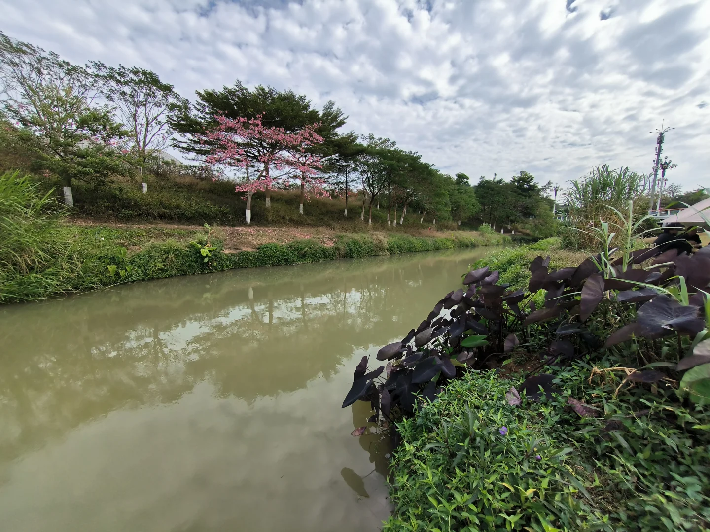 长岭农业公园｜天幕野餐｜钓鱼烧烤｜遛娃