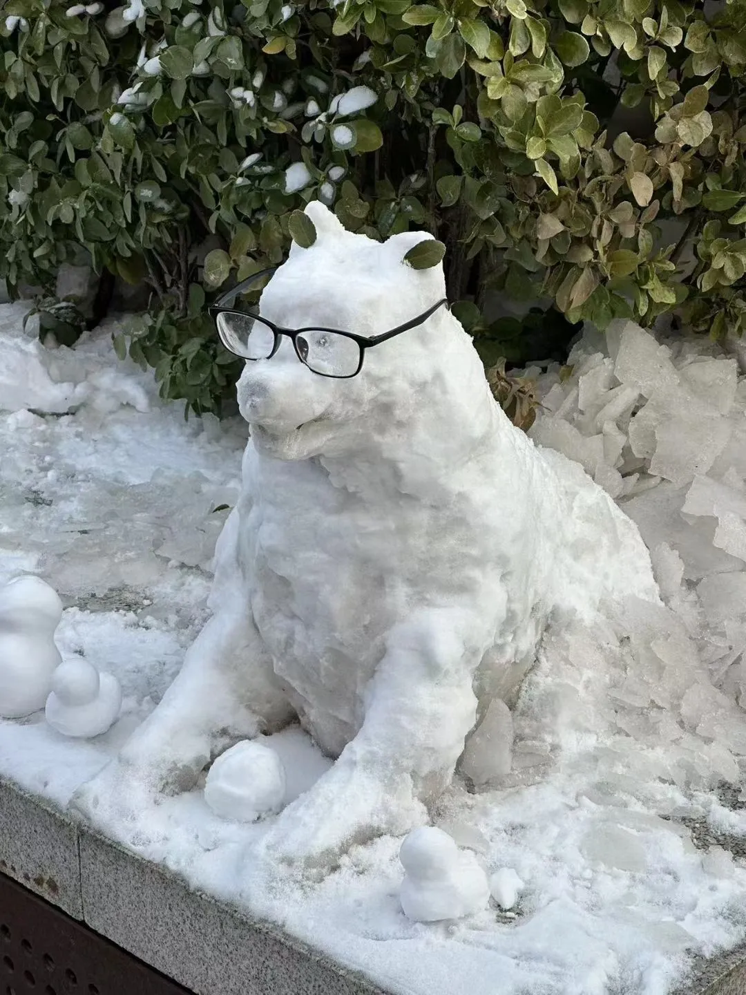 回顾 23 年北林的狗神进化史