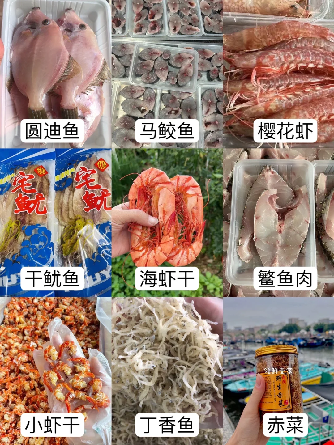 我摊牌了❗️❗️我真的是卖海鲜的❗️❗️❗️