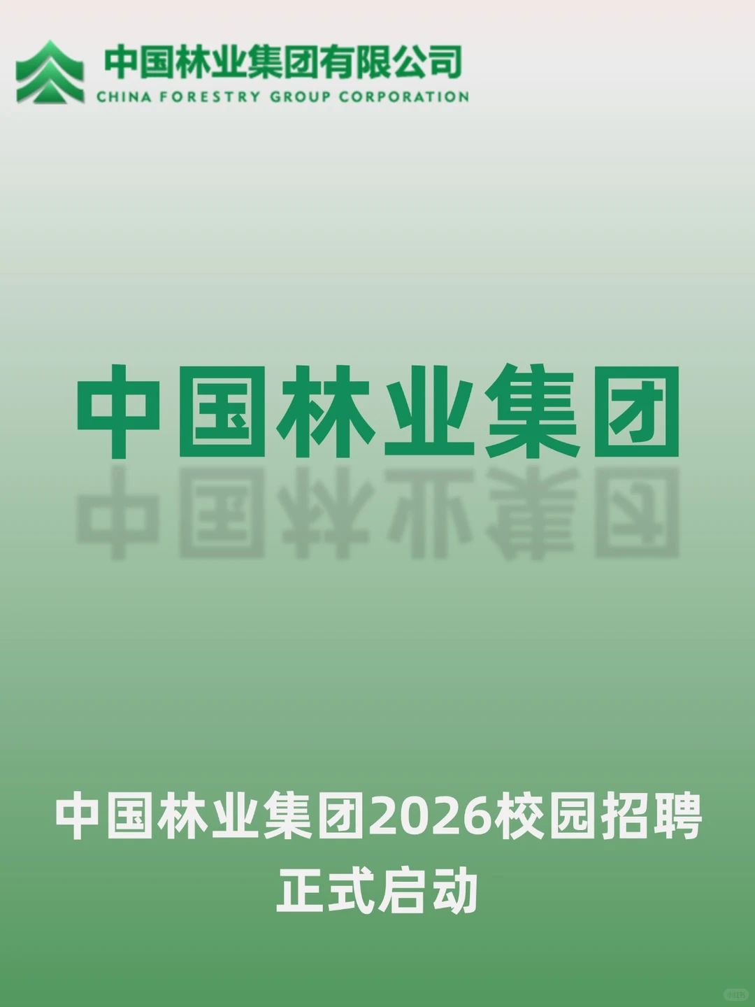 中国林业集团2026校园招聘正式启动！！